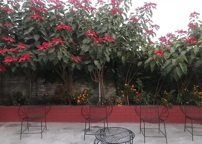 Yoga Learners Home Nepal Hostel *
